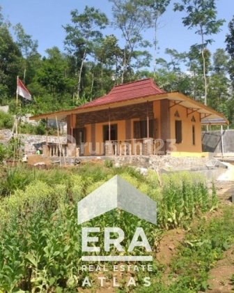 Tanah Perkebunan di Getasan Kabupaten Semarang 1