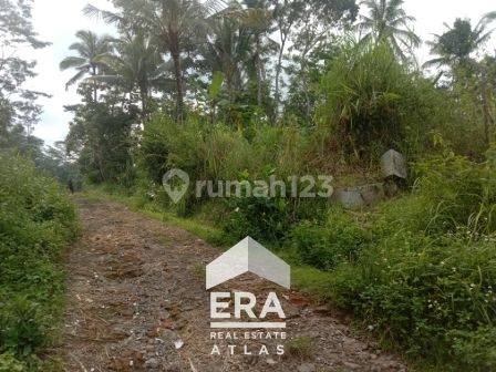 Tanah Strategis Di Pinggir Jalan Smg Solo, Ampel, Boyolali 2