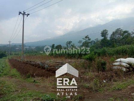 Tanah Strategis Untuk Gudang Atau Peternakan Ayam di Sampetan, Ampel, Boyolali 1