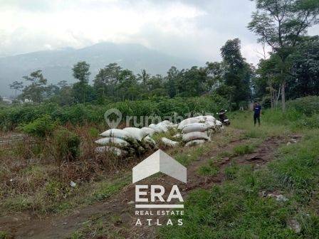 Tanah Strategis Untuk Gudang Atau Peternakan Ayam di Sampetan, Ampel, Boyolali 2