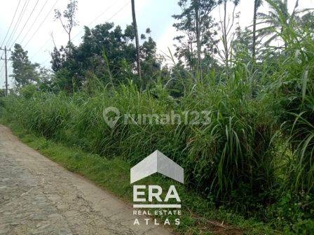 Tanah Cocok Untuk Gudang Atau Peternakan Ayam Di Desa Sampetan, Ampel, Boyolali 1