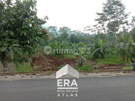 Tanah Strategis Utk Gudang, Rumah, Ternak Ayam Di Sampetan, Ampel, Boyolali 2