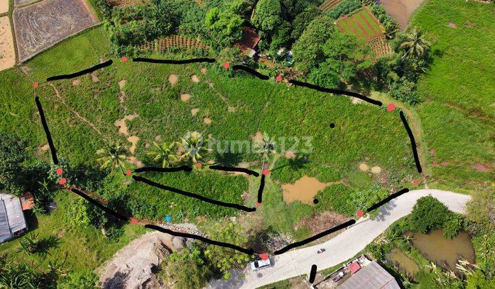 Tanah SHM di Kp. Pulo, Putat Nutug, Ciseeng, Bogor 2
