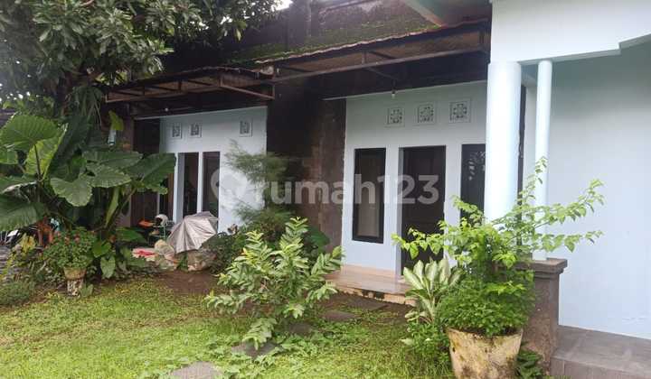 Di jual villa di wilayah bali harga nego lt 525m2