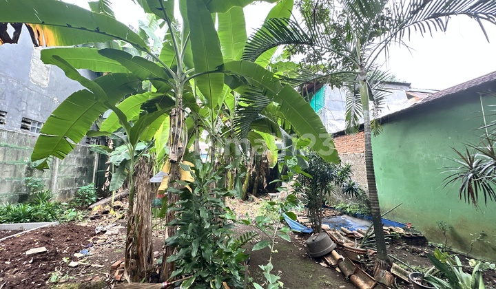 Tanah Cilandak 500 Meter an Di Cilandak Dalam Lingkungan Tenang Private Damai Buntu Tidak Ada Rumah Lain.....di Jln Cilandak, Jakarta Selatan 487 m² Tanah Cilandak 500 Meter an Di Cilandak Dalam Lingkungan Tenang Private Damai Buntu Tidak Ada Rumah Lain.....di Jln Cilandak, Jakarta Selatan 487 m²