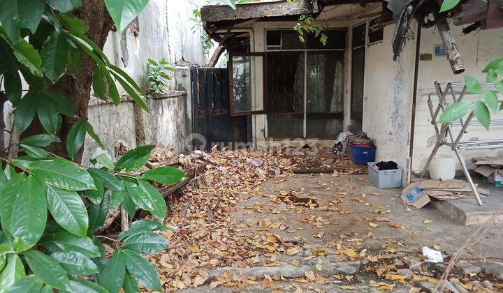 Di Jual Rumah Hitung Tanah 1