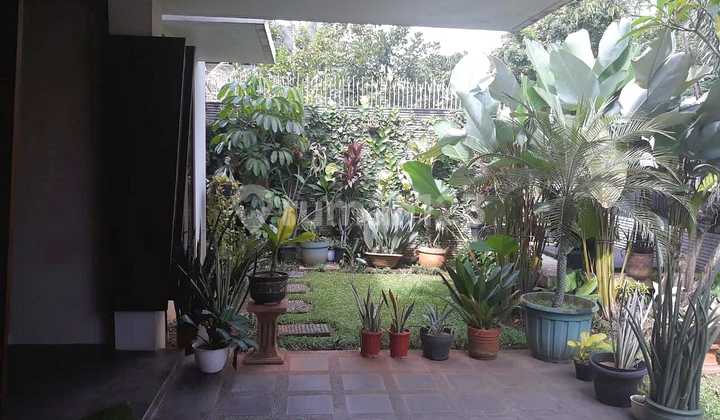 Dijual Rumah Bagus di Daerah Sektor 7  2