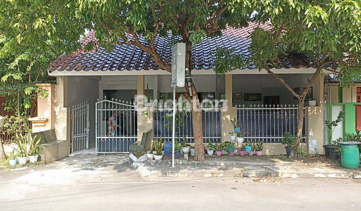 RUMAH DI PLAMONGAN HIJAU HARGA 790 JUTA 1