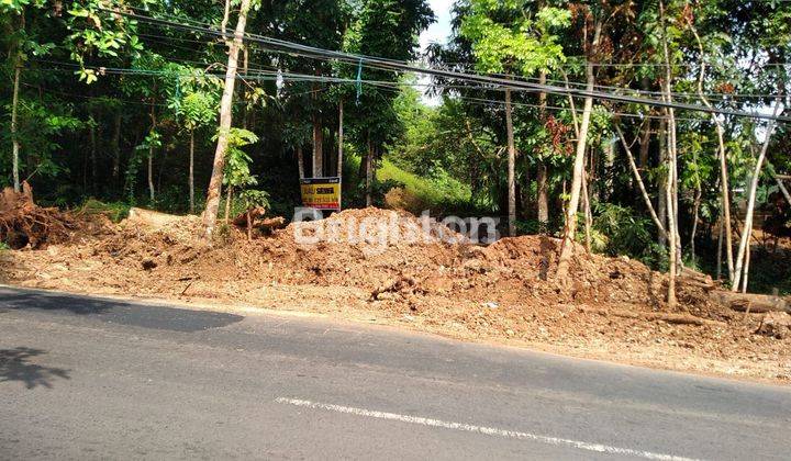 TANAH LUAS 1573 m2 DI GUNUNG PATI 2