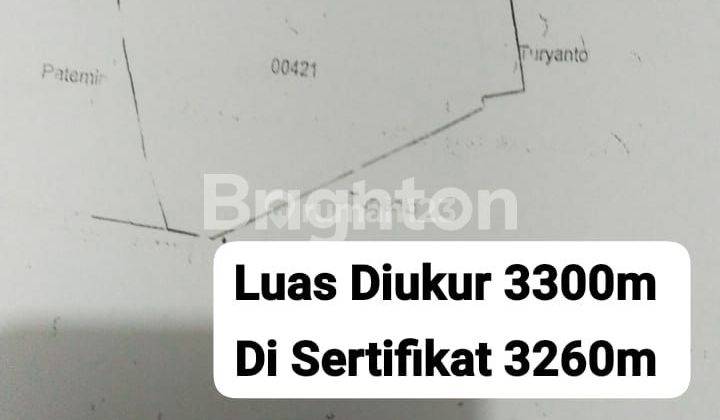 TANAH LUAS 3300 DI PERBATASAN BOJA - GUNUNGPATI 2