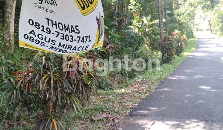 TANAH DI GUNUNG PATI DEKAT DENGAN GUA KREO 2