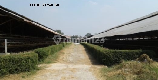 Plot for Sale in Bekasi, Strategic Location, Area 5.6 Hectares, Code: 21263 Bn. Plot for Sale in Bekasi, Strategic Location, Area 5.6 Hectares, Code: 21263 Bn.