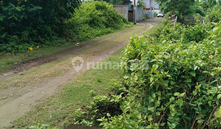 Tanah Kavling Dalam Perumahan Area Kerobokan, Badung, Bali