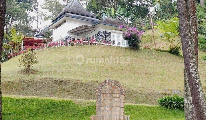 VILLA KOLONIAL CANTIK VIEW HUTAN PINUS AREA CILOTO PUNCAK 2