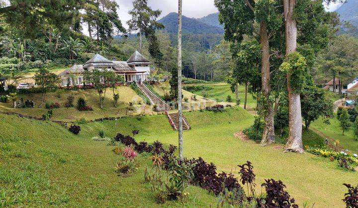 VILLA KOLONIAL CANTIK VIEW HUTAN PINUS AREA CILOTO PUNCAK 1