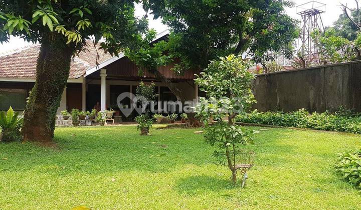 Rumah Hitung Tanah Yg Luas Dekat Tugu Pancoran Lt1482 lb400b