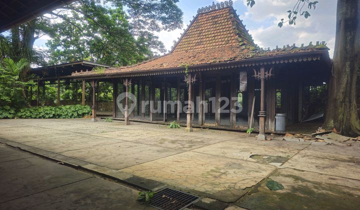 Tanah Luas Hidden Gems Area Jeruk Purut Dekat Tol Tb Simatupang Tanah Luas Hidden Gems Area Jeruk Purut Dekat Tol Tb Simatupang