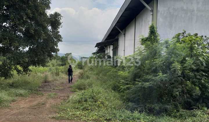 Gudang Murah Dilokasi Premium Jalan Utama Pegaden Subang Jawa Barat