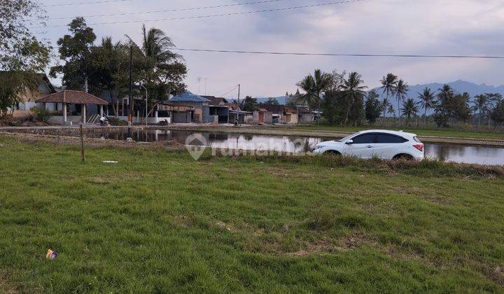 Tanah Villa Magelang Dekat Candi Borobudur, SHM 2