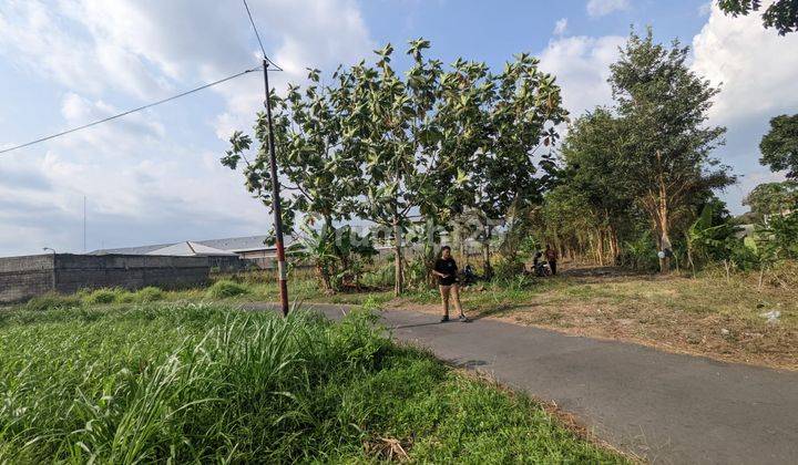 Dekat Sma Al Azhar, Tanah Palagan Jogja SHM Pekarangan 2