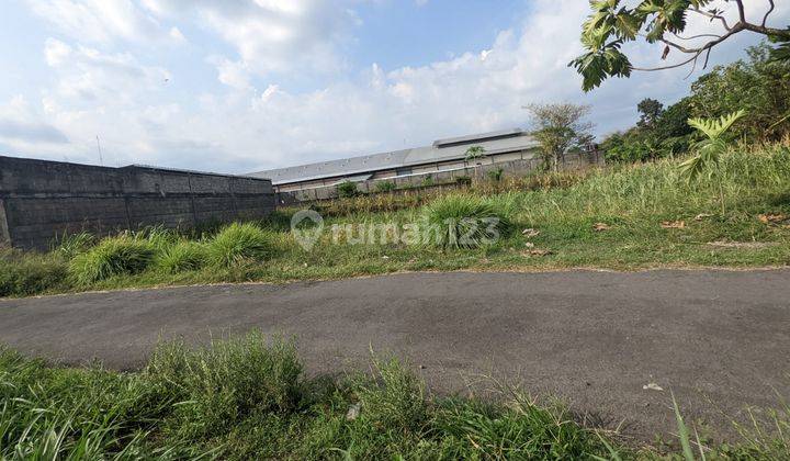 Dekat Sma Al Azhar, Tanah Palagan Jogja SHM Pekarangan 1