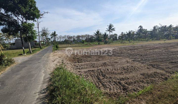 Tanah Jogja Dekat Kampus UII dan Wisata Kaliurang, View Sawah 2