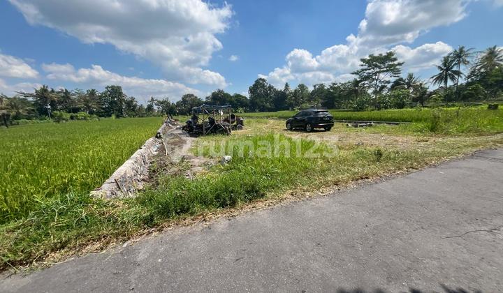 2 MENIT KAMPUS UII: Tanah Prospek Kost Kaliurang Km 13 Jogja 2 MENIT KAMPUS UII: Tanah Prospek Kost Kaliurang Km 13 Jogja