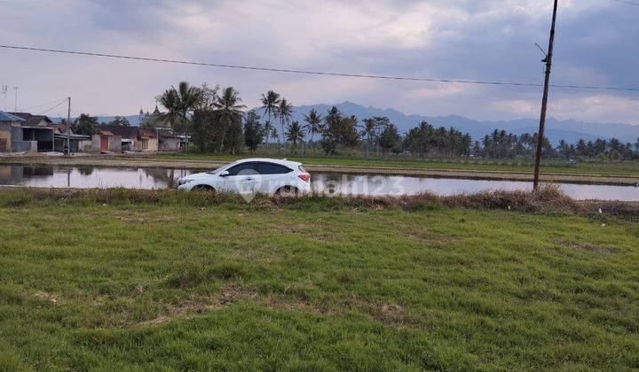 Dekat Candi Mendut Dan Borobudur, Tanah Magelang Jl Pabelan 2