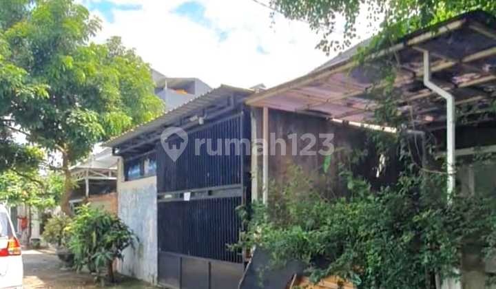 Minimalist House Golden Berry Menganti (Ln) 2