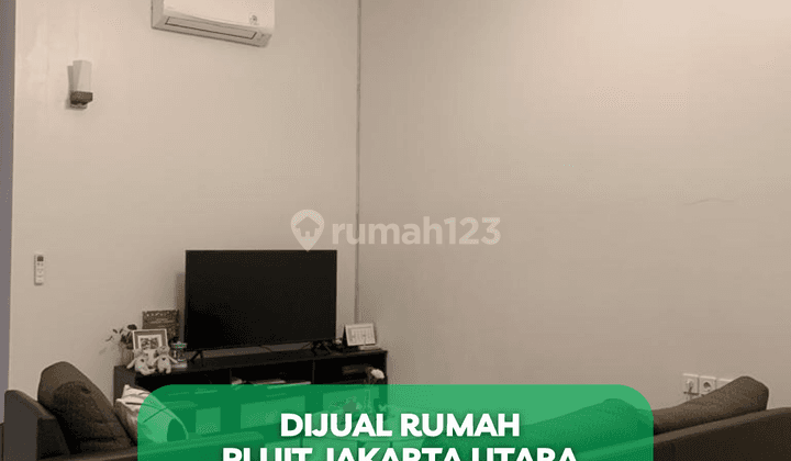 Rumah Pluit Minimalis Modern Rapi Dan Bagus 2