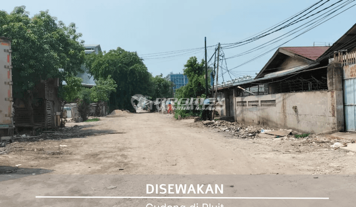 Gudang Luas 1.000 M2 Pluit Jakarta Utara Disewakan  2