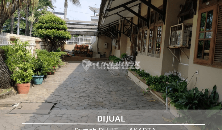 Rumah 2 Lantai Furnished SHM Pluit Jakarta Utara 1