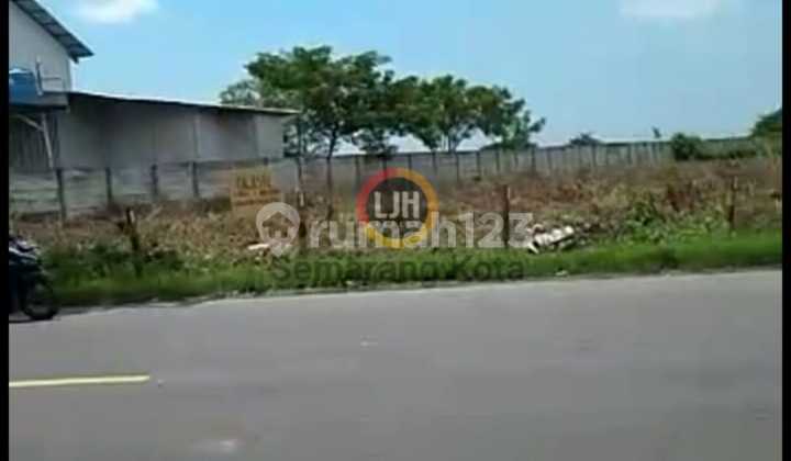 Industrial Plot in Widang, Tuban