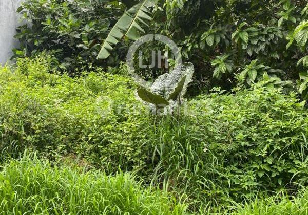 Plot in Bukit Dieng 1