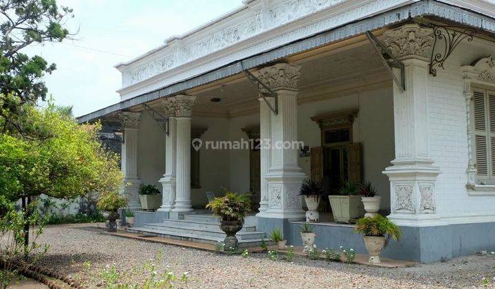 Rumah Antik Bagus Cocok untuk Hotel, Resto, Museum  1