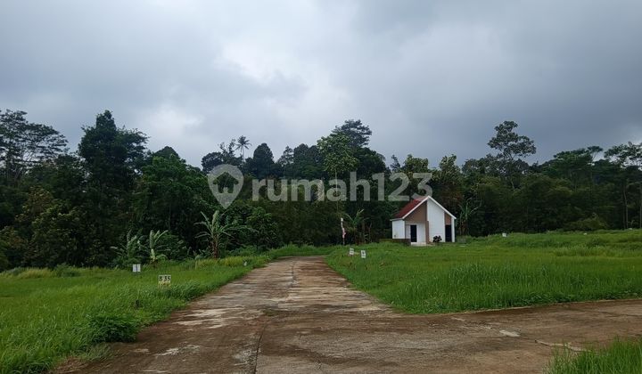 Jual Kavling Murah di Mangunsari Pakintelan Gunung Pati 2