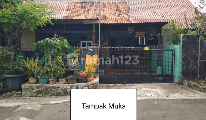 Rumah Clasik Luas Asri Murah di Komple Pln Klender Jatinegara Jakarta Tim Rumah Clasik Luas Asri Murah di Komple Pln Klender Jatinegara Jakarta Tim