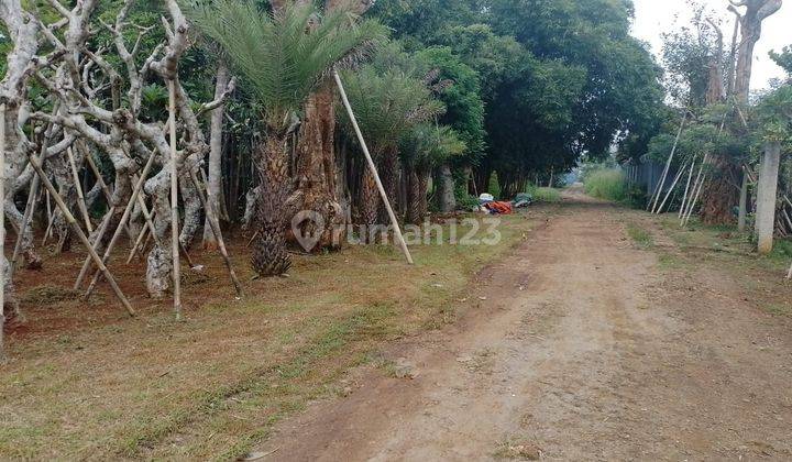 Tanah Murah Bawah Njop di Raya Parung Bogor, Luas 3,7 Ha Zona Kuning 2