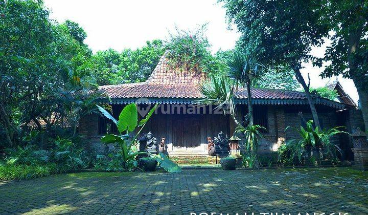 Rumah Gebyok Djawa Asri Luas 1000 M2 di Pekapuran Cimanggis Depok 1