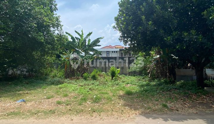 Tanah Kavling Murah Luas Asri Di Caman Jatibening Timur Jakarta