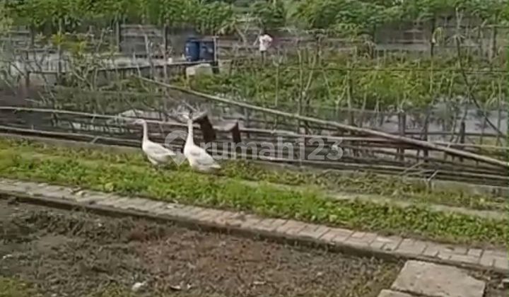 FOR SALE QUICKLY Land with bonus house in Tigaraksa