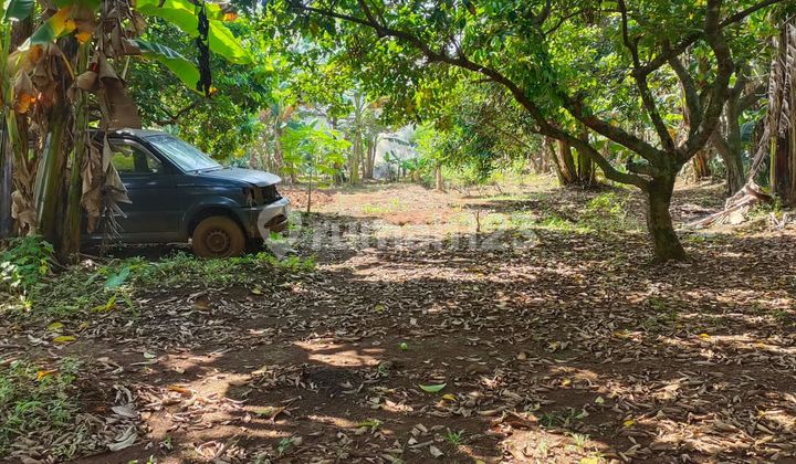 For Sale Flat Land Strategic Location Ciputat