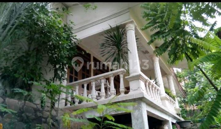 Rumah Luas Hiitung Tanah Cilandak Jakarta Selatan 2