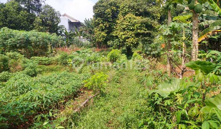 For Sale: Dry Land, Flood-Free 1500m, Location Near Golden Dome Mosque For Sale: Dry Land, Flood-Free 1500m, Location Near Golden Dome Mosque