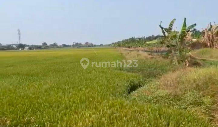 Dijual Tanah Nol Jl Raya Di Lingkar Timur Sidoarjo (gebang)  1