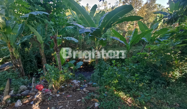Garden land suitable for Villa in Sanget Singaraja