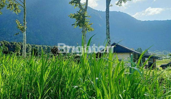 Lahan dipinggir Danau Candi kuning Bedugul dengan luas 2800m²,Lahan sangat prospek cocok untuk investasi , bisnis wisata outdoor lingkungan sejuk dan dekat dengan banyak area wisata 2