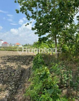 Tanah 5 are surrounded by rice field in Sayan Village only 10-15 minute to Central Ubud via Penestanan 2