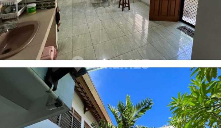 Ruko Dan Rumah 2,5 - 3 Lantai Cocok Untuk Usaha Dan Tempat Tinggal Dipinggir Jalan Raya Diarea Denpasar Utara Ruko Dan Rumah 2,5 - 3 Lantai Cocok Untuk Usaha Dan Tempat Tinggal Dipinggir Jalan Raya Diarea Denpasar Utara