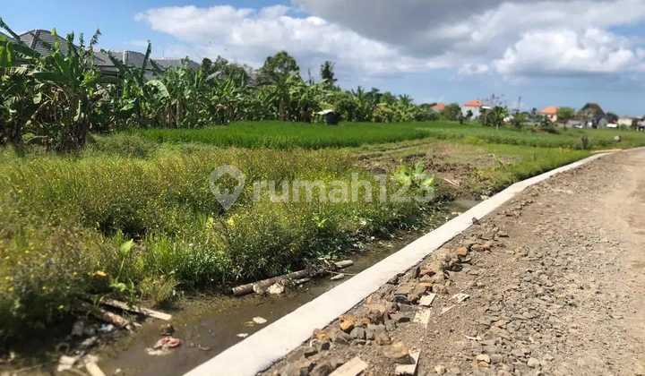 Buc Tanah Area Penatih Denpasar, Lokasi Strategis